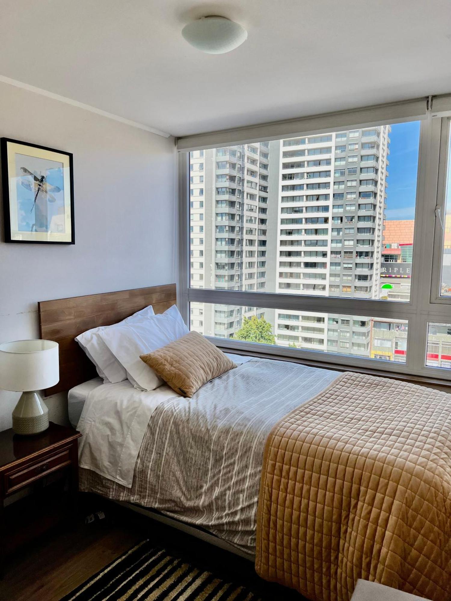Apartamentos Concepcion Centro מראה חיצוני תמונה
