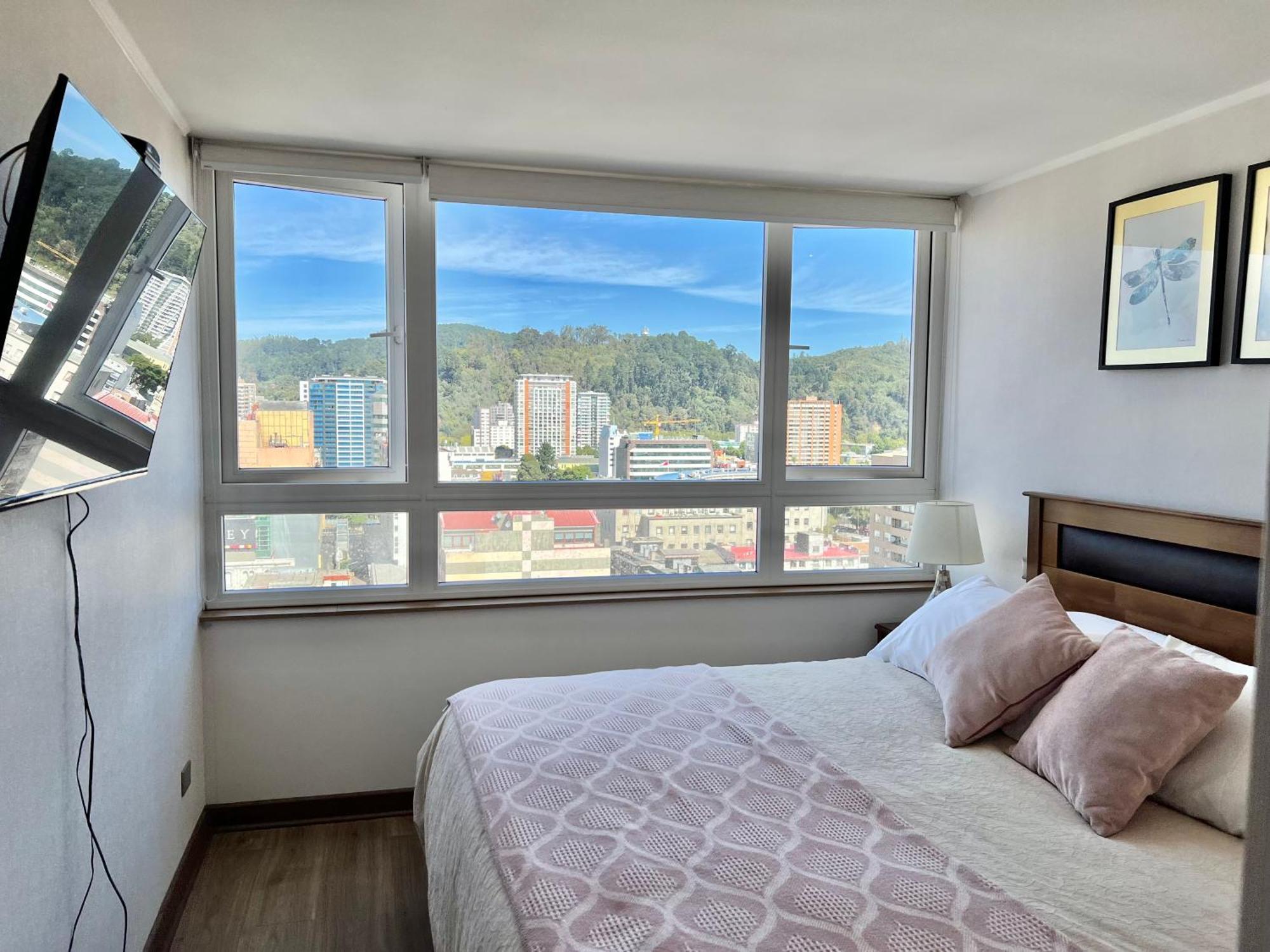 Apartamentos Concepcion Centro מראה חיצוני תמונה